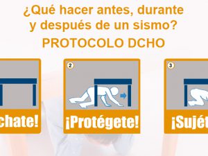 Curso_DCHO